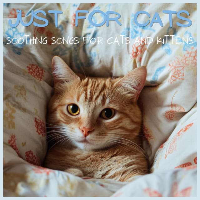Just for Cats - Soothing Songs for Cats and Kittens - RelaxMyCat