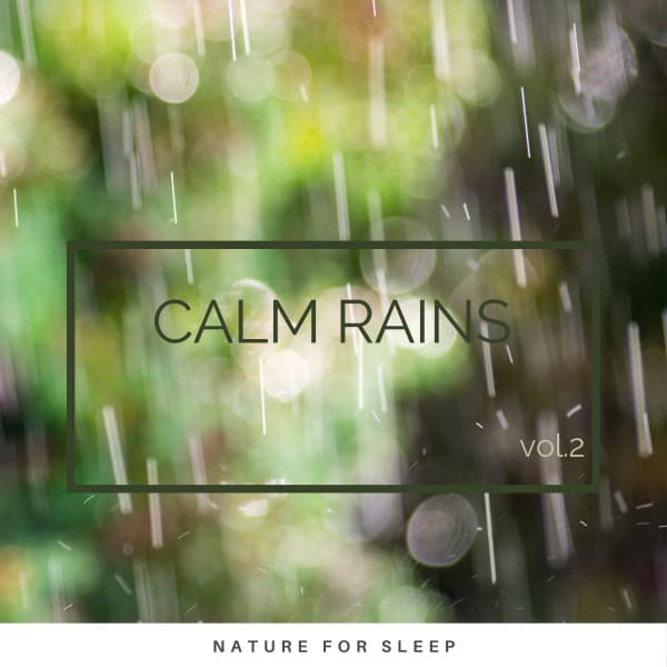 Calm Rains vol. 2 - Summer Showers