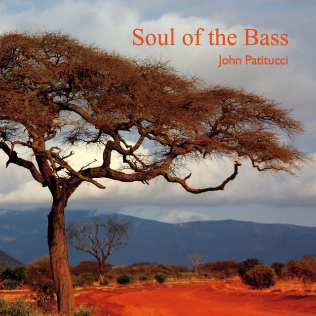 Soul of the Bass - John Patitucci