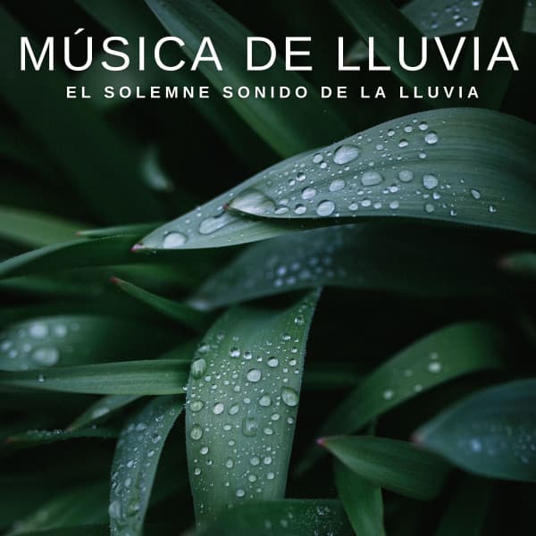Música de Meditación