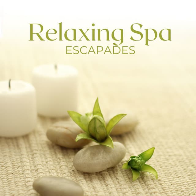 Relaxing Spa Escapades: Wellness Bliss Melodies, Massage Therapy, Spa Serenity - Relaxing Spa Music Zone
