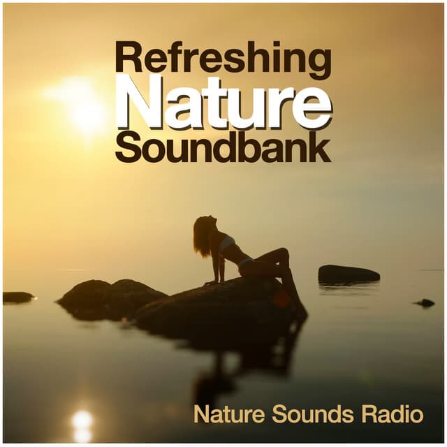 Refreshing Nature Soundbank - Nature Sounds Radio