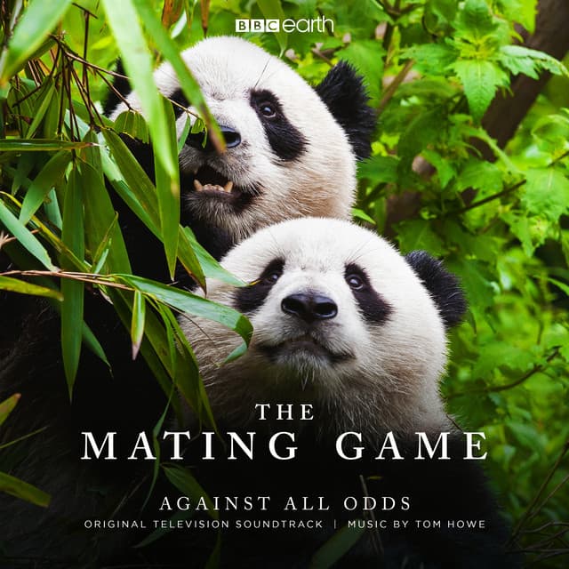 The Mating Game - Against All Odds - Tom Howe
