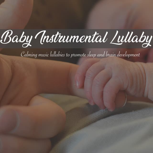 Baby Lullaby Zone