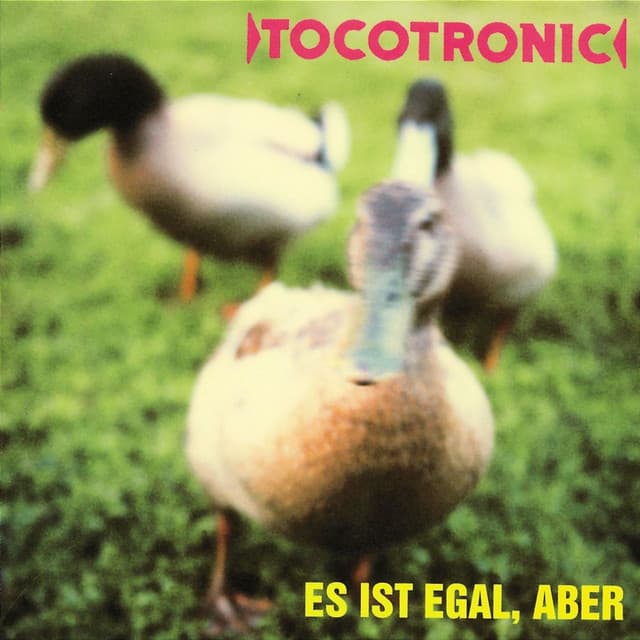 Es ist egal, aber - Tocotronic