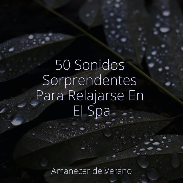 50 Sonidos Sorprendentes Para Relajarse En El Spa - kinderliedjes