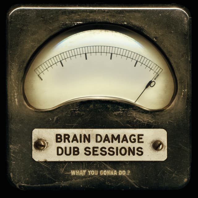 What You Gonna Do? - Brain Damage