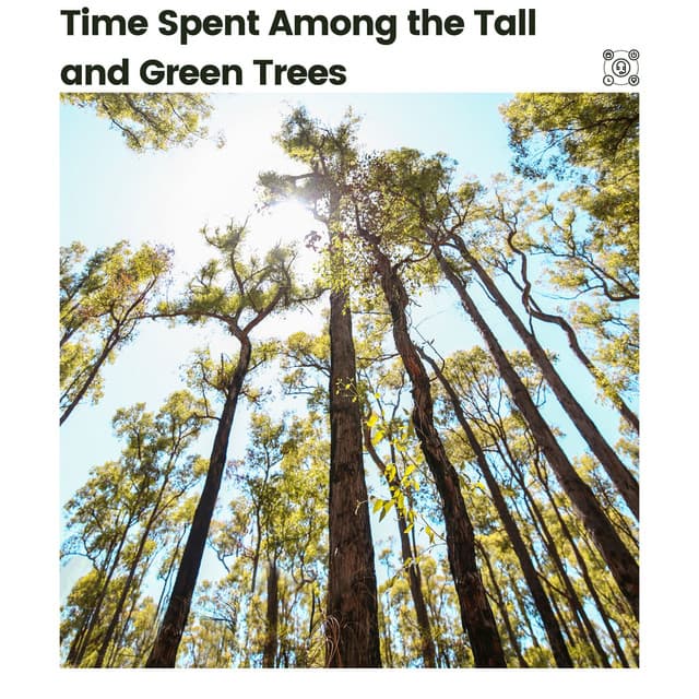 Time Spent Among the Tall and Green Trees - Nature Sleep