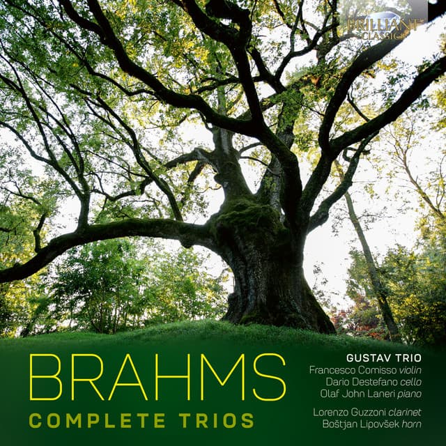 Brahms: Complete Trios - Johannes Brahms