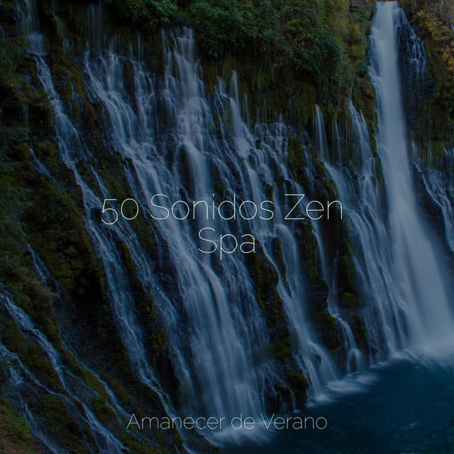 50 Sonidos Zen Spa - Instrumental