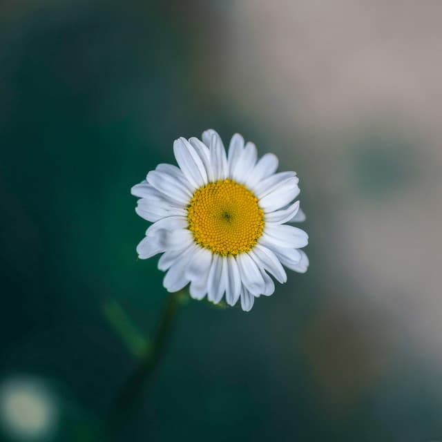 1 Life: Adventures In Nature - Relaxing Music Therapy