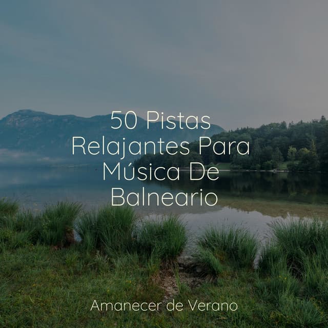 50 Pistas Relajantes Para Música De Balneario - Musica romantica instrumental