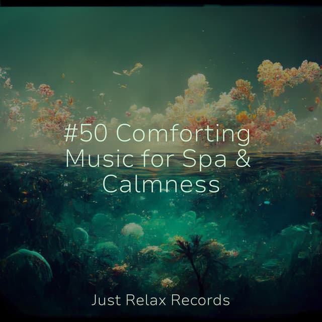 #50 Comforting Music for Spa & Calmness - Exam Study Classical Music