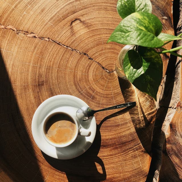 10 Chakras: Frequencies of Becoming - Spa Music Relaxation