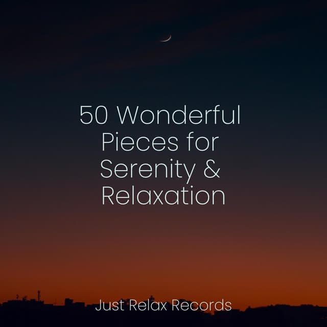 50 Wonderful Pieces for Serenity & Relaxation - Guided Meditation