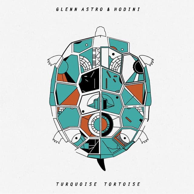 Turquoise Tortoise - Glenn Astro