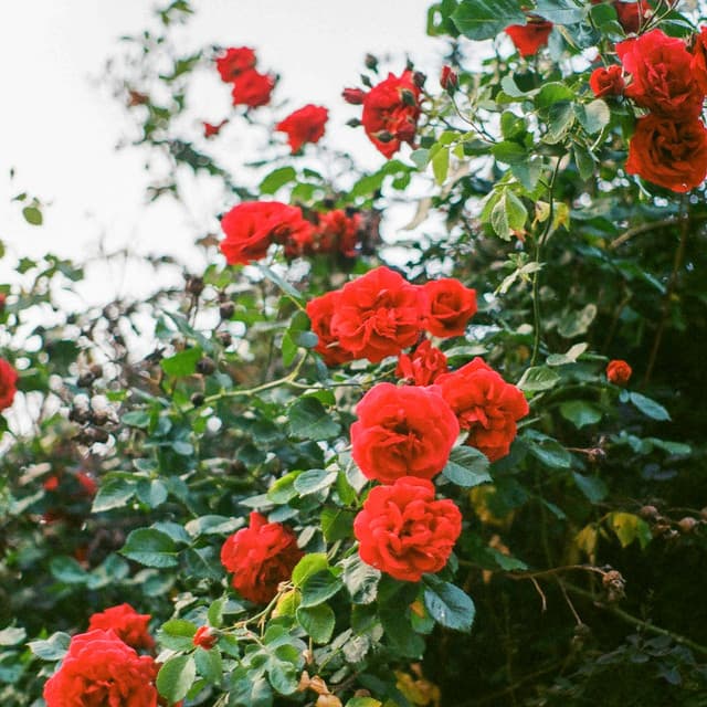 1 Infinity: Tomorrow Today - Yoga Music