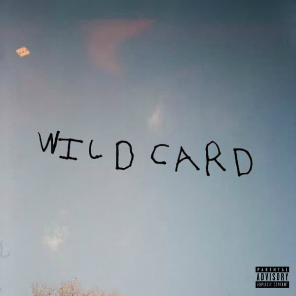 Wild Card - Zelooperz