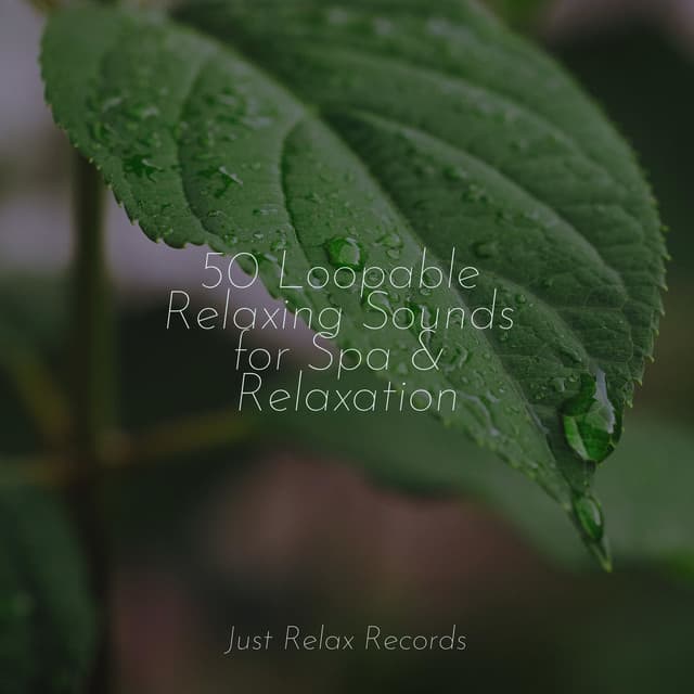 50 Loopable Relaxing Sounds for Spa & Relaxation - Meditation