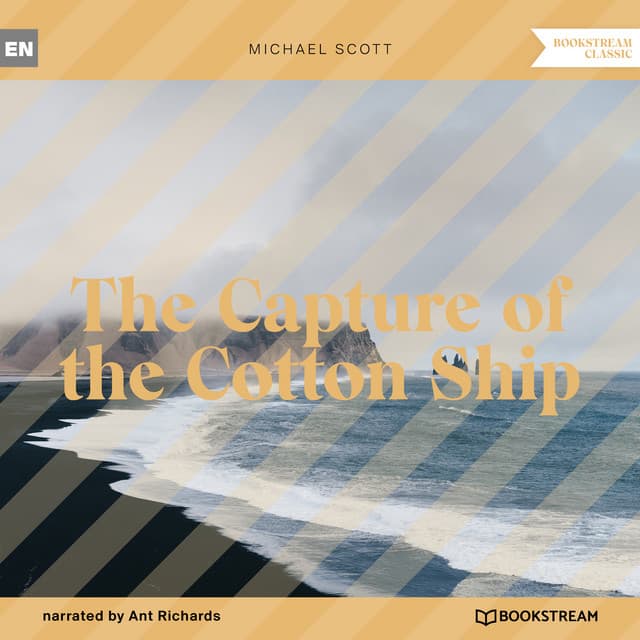 The Capture of the Cotton Ship - Ant Richards