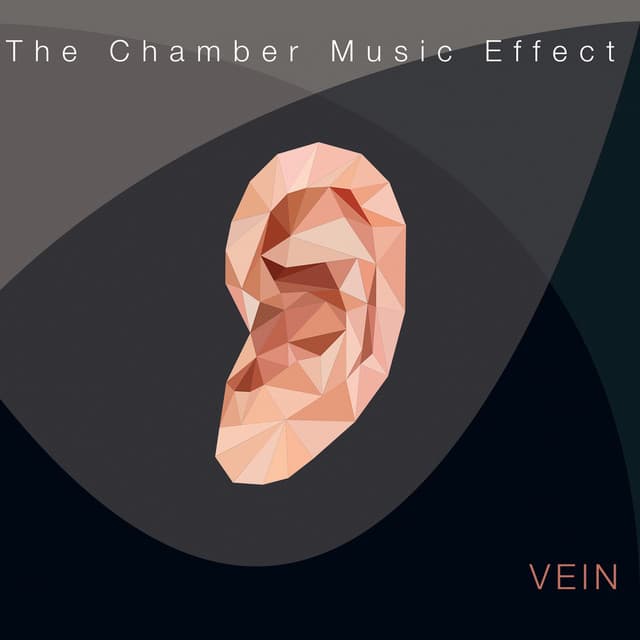 The Chamber Music Effect - VEIN Trio