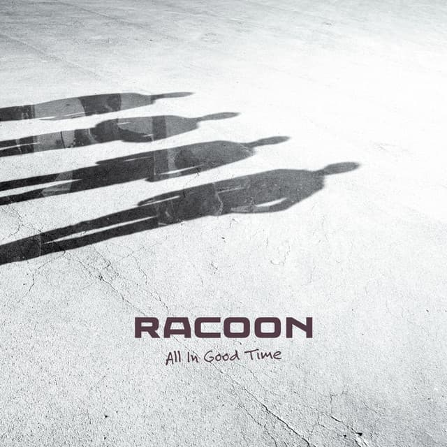 All in Good Time - Racoon