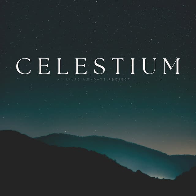 Celestium - Relax Bro