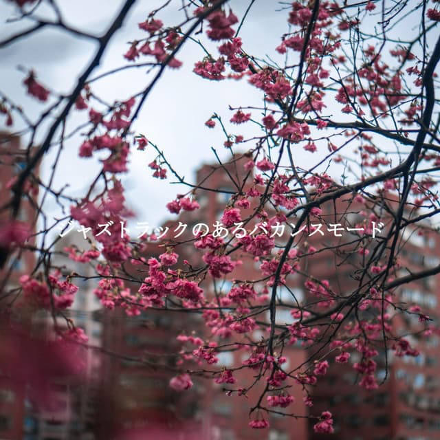 Late Night Relaxing Jazz