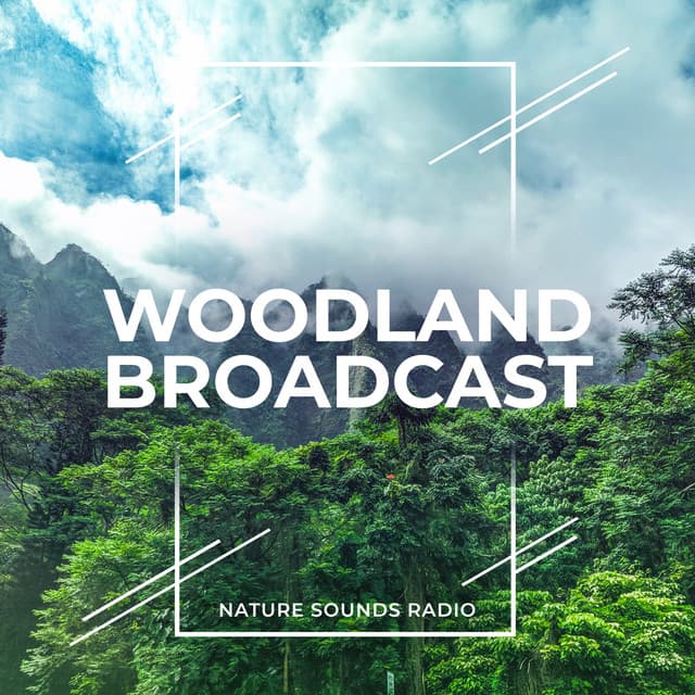 Woodland Broadcast - Nature Sounds Radio