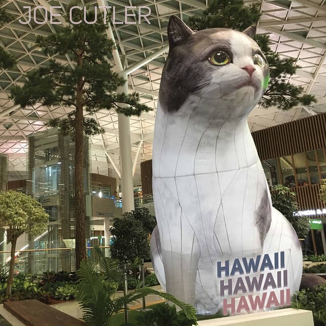 Hawaii Hawaii Hawaii - Joe Cutler