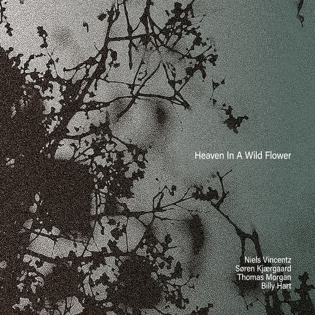 Heaven in a Wildflower - Niels Vincentz