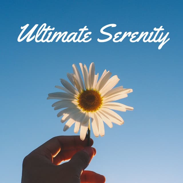 Ultimate Serenity: Calming Melodies for Stress Relief & Deep Relaxation - Chakra Balancing Sound Therapy