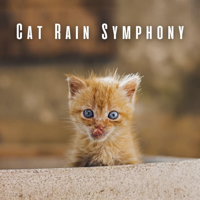 Cat Rain Symphony: Binaural Sounds with Theta Waves - HD Rain and Water