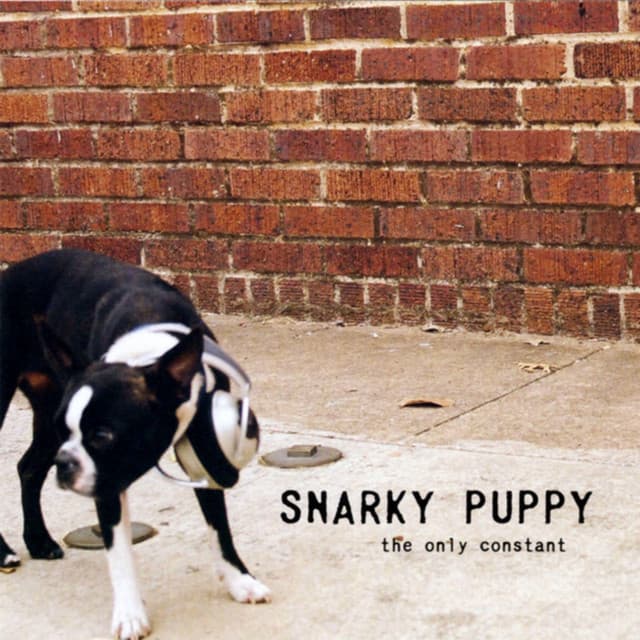 The Only Constant - Snarky Puppy