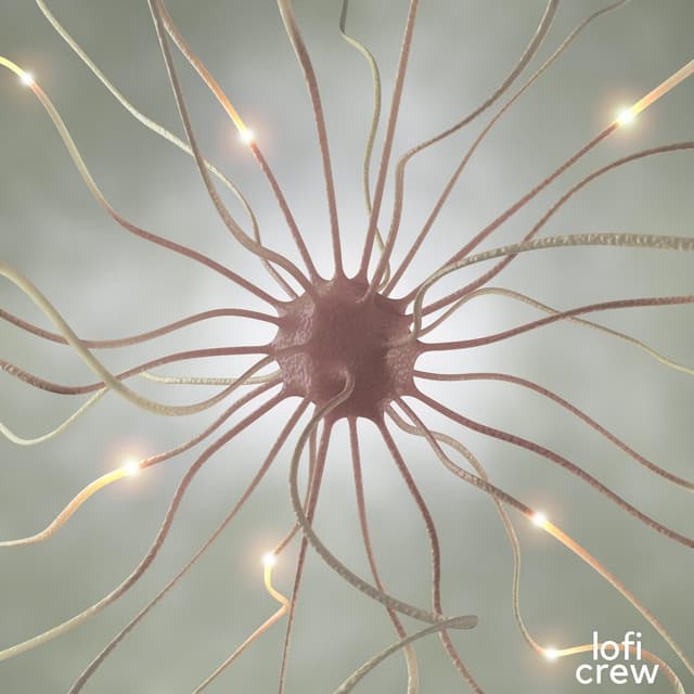 Deep Lofi For Intellect - Lofi For Studying