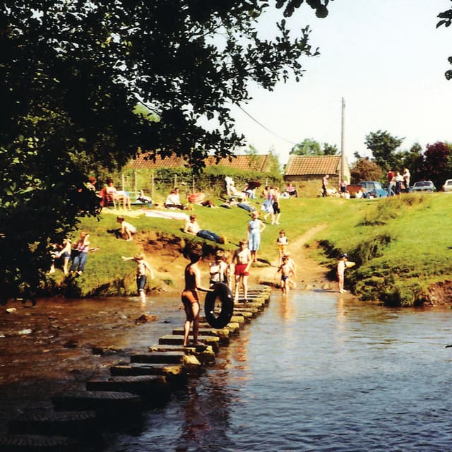 Stepping Stones - Twit One