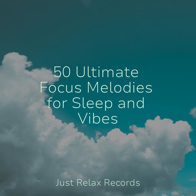 50 Ultimate Focus Melodies for Sleep and Vibes - Best Relaxing SPA Music