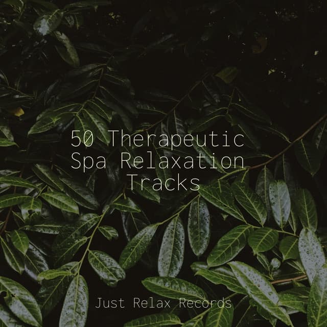 50 Therapeutic Spa Relaxation Tracks - Shakuhachi Sakano