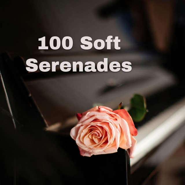 100 Soft Serenades - Johann Sebastian Bach
