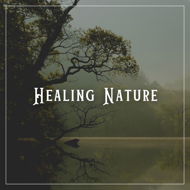 Healing Nature - Easy Ambient Mind Body Soul Healing Meditation Music