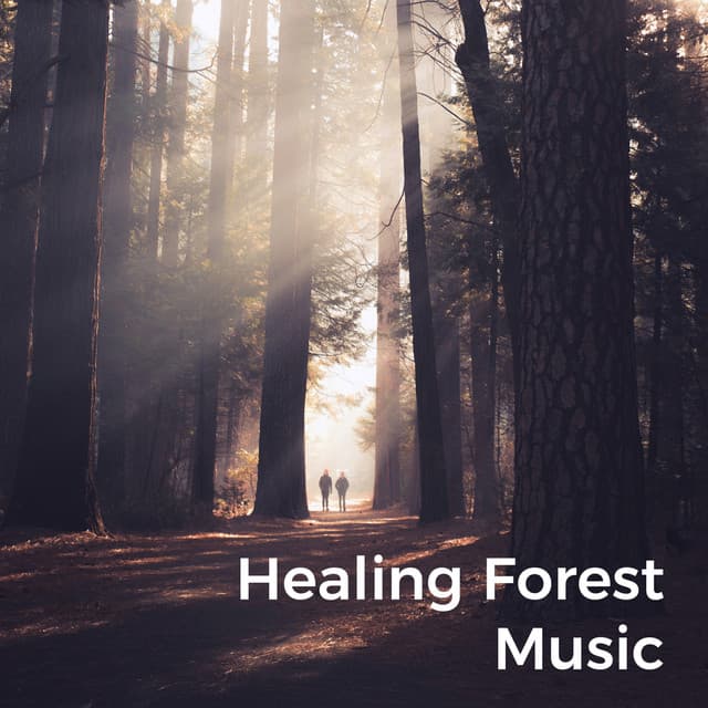 Healing Forest Music - Spiritualizer