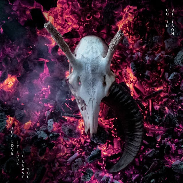 The love it took to leave you - Colin Stetson