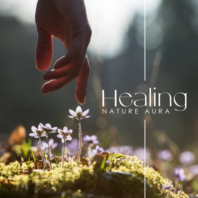 Healing Nature Aura: Natural Relaxing Sanctuary, Breathing Focus, Earth's Embrace - Calming Music Ensemble