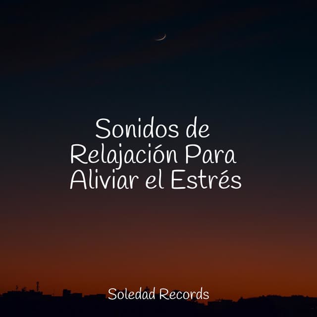 Sonidos de Relajación Para Aliviar el Estrés - Musica Relajante New Age Culture