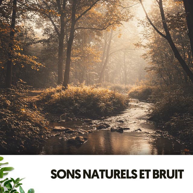 Sons Naturels et Bruit : Berceau de Gouttes - Música Relajante Para Leer