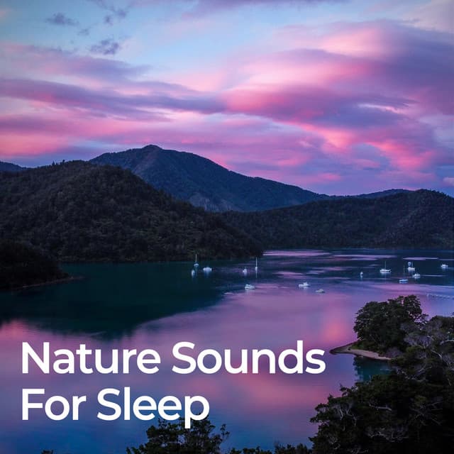 Nature Sounds for Sleep - Relaxing Nature Sounds Collection