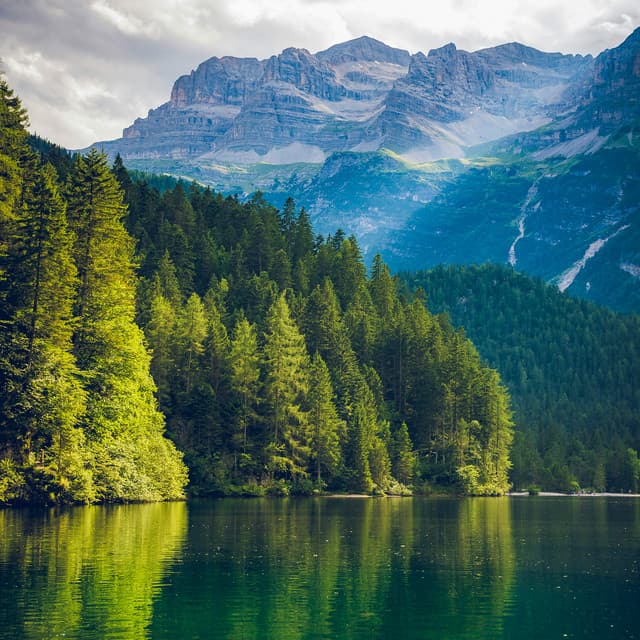 50 Ambient Nature Sounds: Hidden Meadow - Baltic Nature Sounds