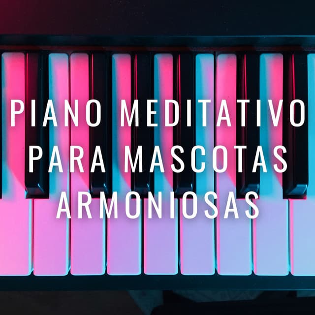 Huellas Serenas: Piano Meditativo Para Mascotas Armoniosas - Colección Piano Jazz