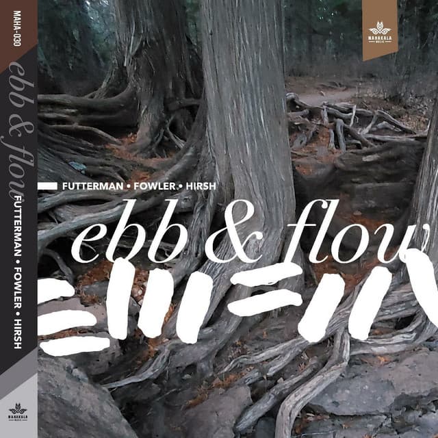 Ebb & Flow - Joel Futterman