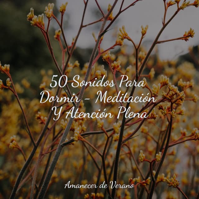 50 Sonidos Para Dormir - Meditación Y Atención Plena - Zen Music Garden
